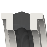PS09R