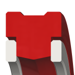 R21AP